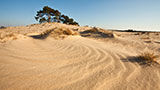 Nationaal Park Loonse en Drunese Duinen